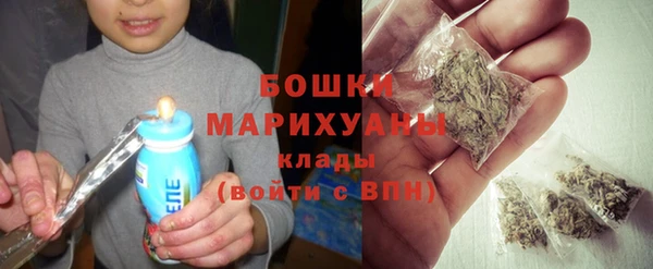 молекула духа Арсеньев
