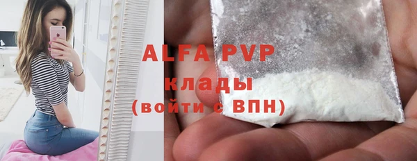 ешки Новодвинск