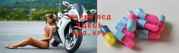 молекула духа Арсеньев