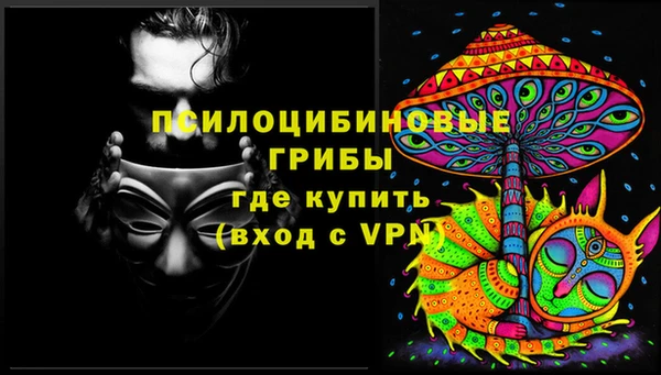 молекула духа Арсеньев