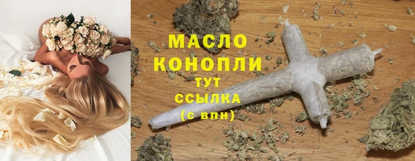 молекула духа Арсеньев