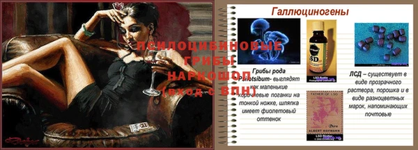 ешки Новодвинск